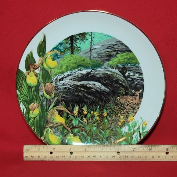 VTG Decorative Plate Royal Windsor Lady Slipper Orchid Wildflowers of the South - Picture 9 of 12